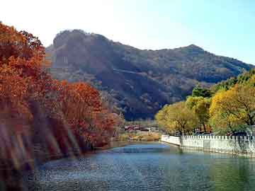 澳门二四六天天彩图库，站群建站